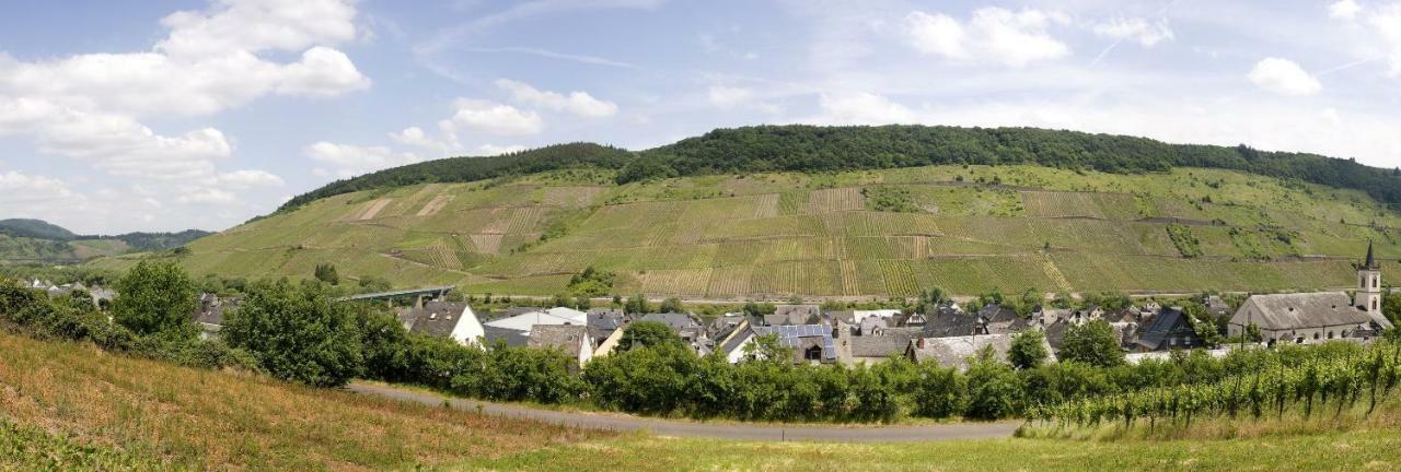 Ferienwohnung "Schoene Aussicht" Reil Exteriér fotografie